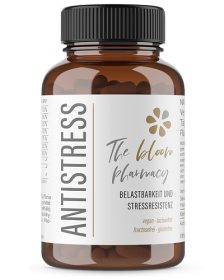 Gut gewappnet gegen Stress